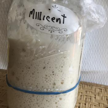 MIllICENT recipe