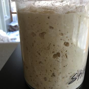 Montana Gold recipe