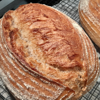 My Danish sourdough front shot