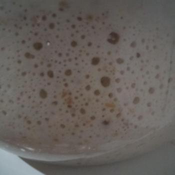 Ninho jar shot