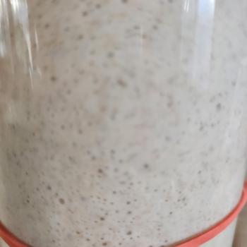 nini recipe