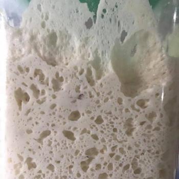 Nyai Ontosoroh recipe