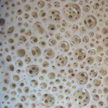 Octo top shot