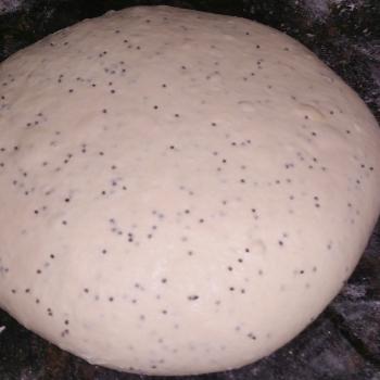 Onion Poppy Seed Sourdough front shot