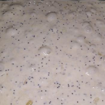 Onion Poppy Seed Sourdough top shot