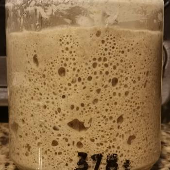 P. MADRE recipe