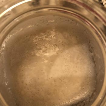Pams special sourdough  jar shot