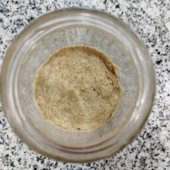 Pamuk jar shot