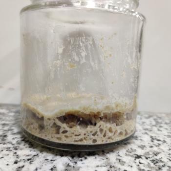 Pamuk recipe