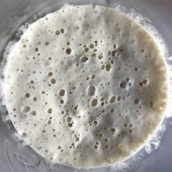 PANDO recipe