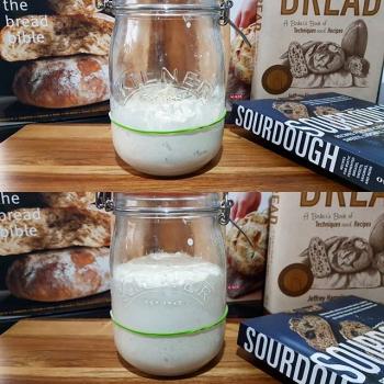 pão de nuvem recipe
