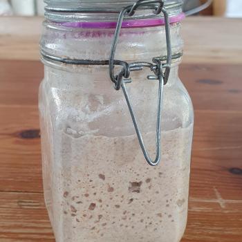 Patagonia recipe
