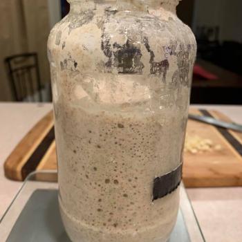Patricia recipe