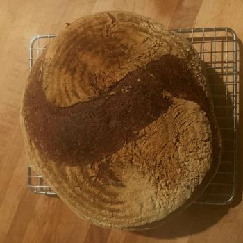 PCH Ocean Breeze Levain front shot