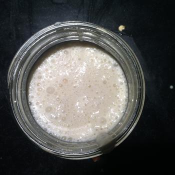 pineschi family starter jar shot