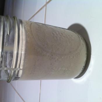 pineschi family starter recipe