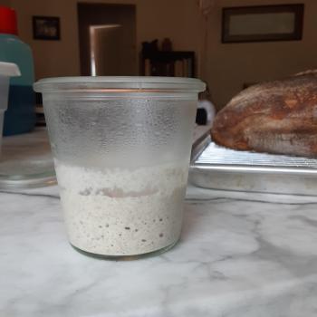 Pioggia recipe