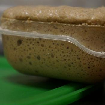 Progressive way 100% rye wholemeal by Piotr Polomski recipe