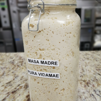 PURA VIDA MAE front shot