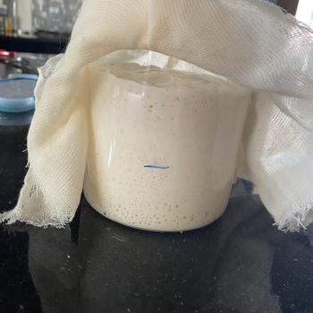 Queenie recipe