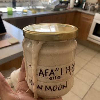 Rafa_ello recipe