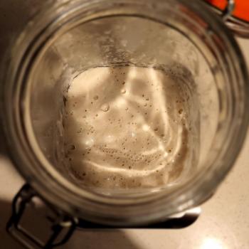 Rocky Galahad jar shot