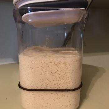 Ronaldo recipe