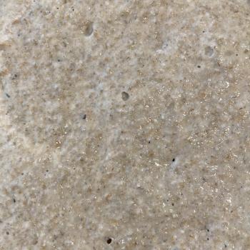 Rye starter 2013 recipe