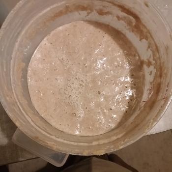 Samson recipe