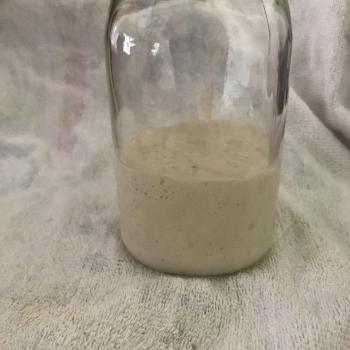 Seamus recipe