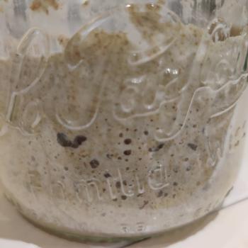 Seigle170 recipe