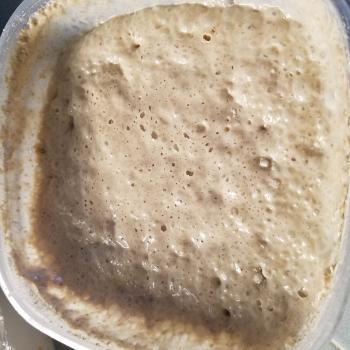 SF style rye starter jar shot