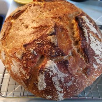 SF style rye starter top shot