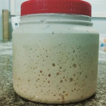 She recipe