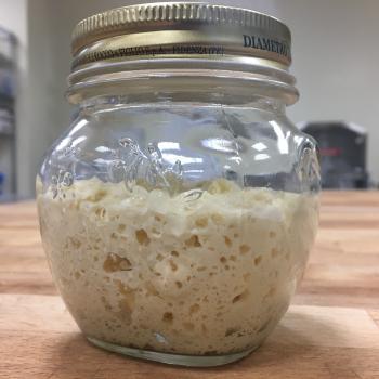 Silenca recipe