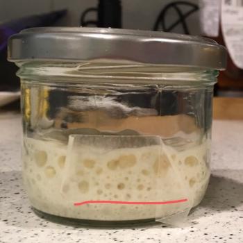 Sophia recipe