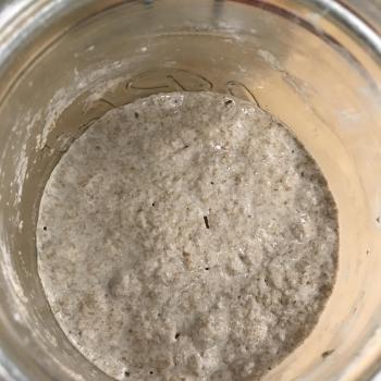 Souie JB2020 jar shot