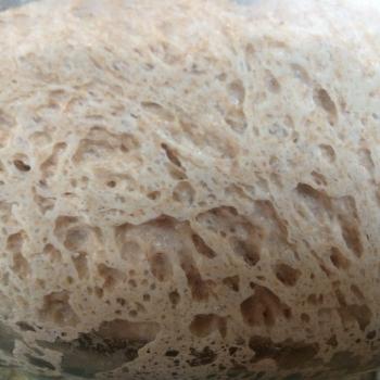 Sprouted Ancient Grain sourdough recipe
