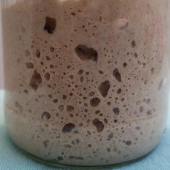 Srđan recipe