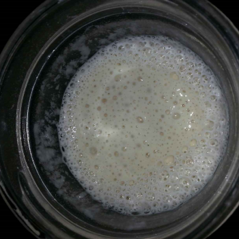 Success recipe