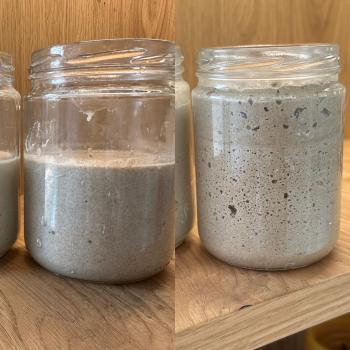 TEFF front shot