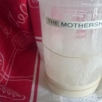 The Mothership front shot