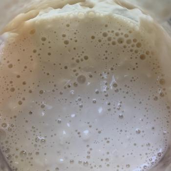 The Yeasty Boys  recipe