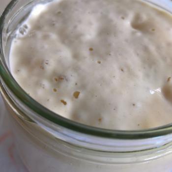 TheBees recipe