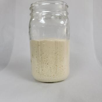 Tranquility Acres Levain recipe