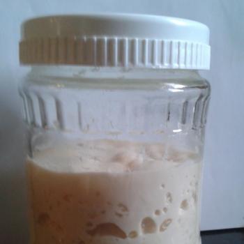 vilekula recipe