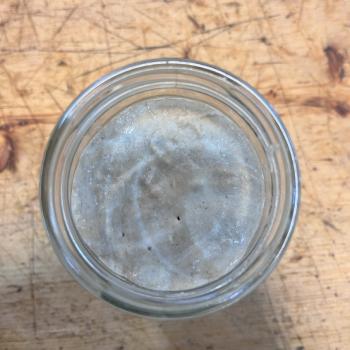 whole wheat starter(mother) jar shot