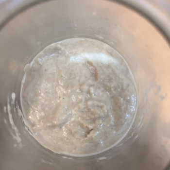 whole wheat starter(mother) top shot