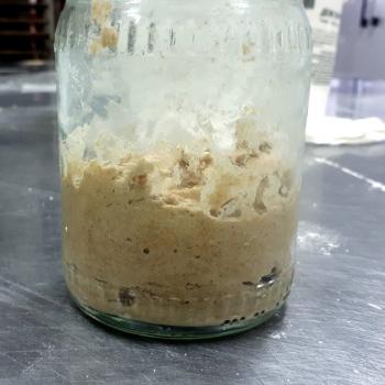 Zakvasochka jar shot