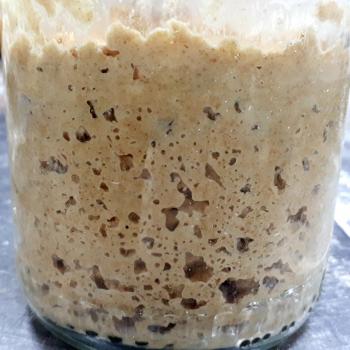 Zakvasochka recipe